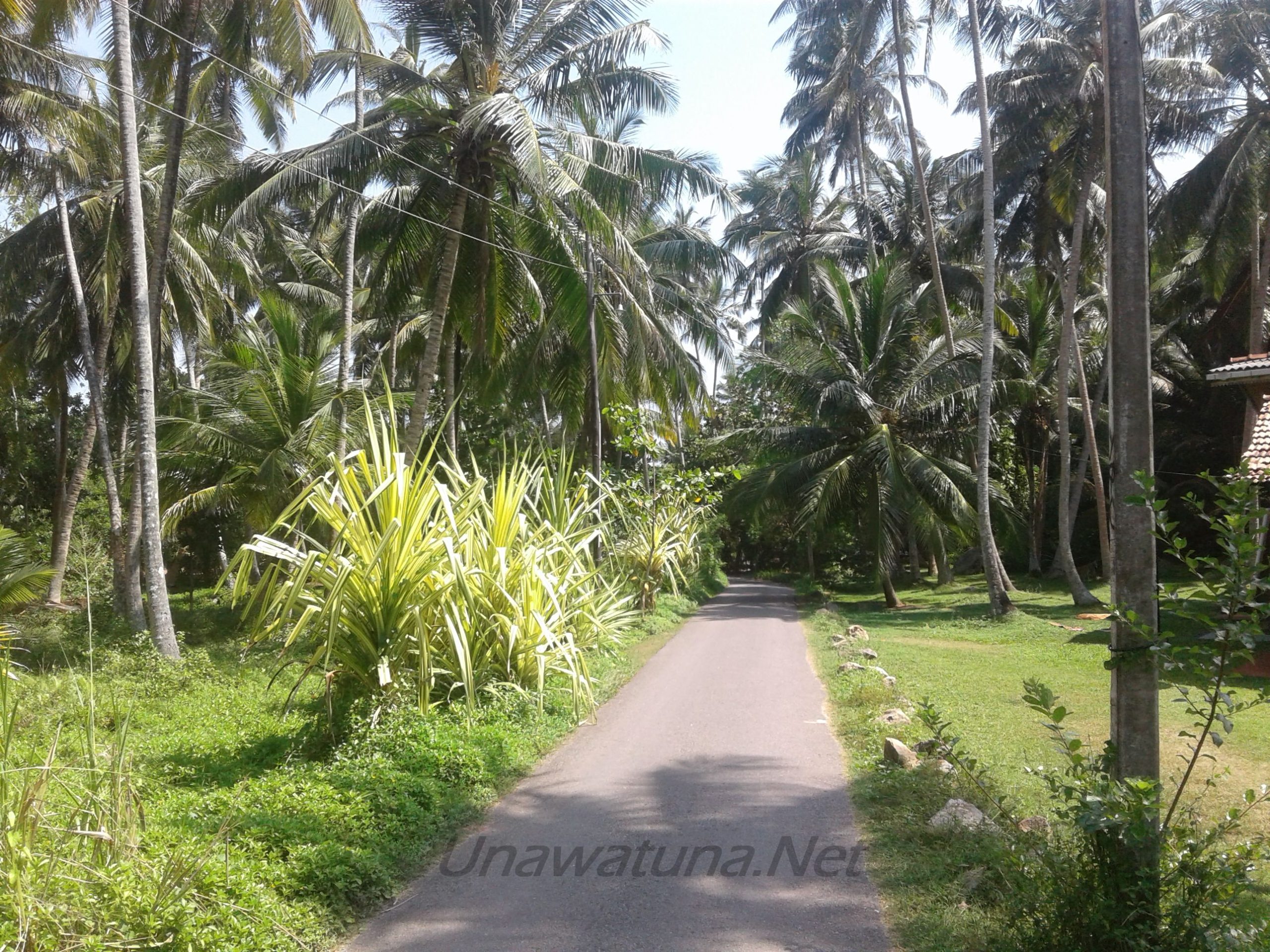 Унаватуна, природа